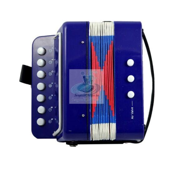 Acordeon jucarie cu sunete reale albastru