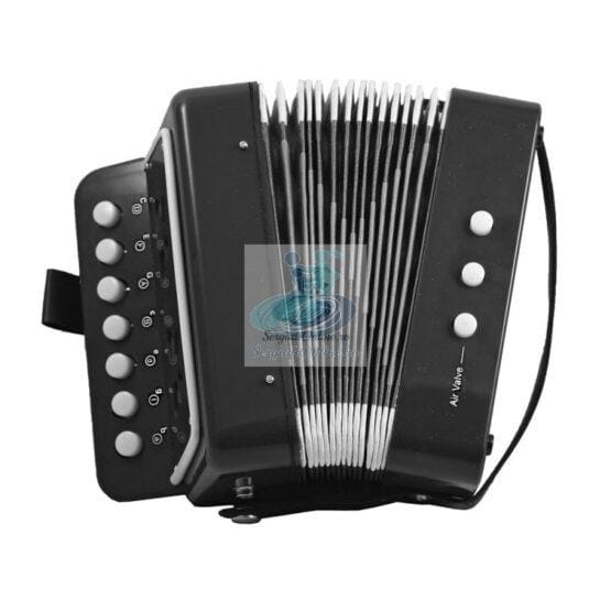 Acordeon jucarie cu sunete reale negru