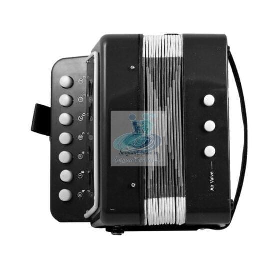 Acordeon jucarie cu sunete reale negru