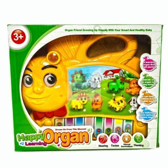 Orga Muzicala Albinuta