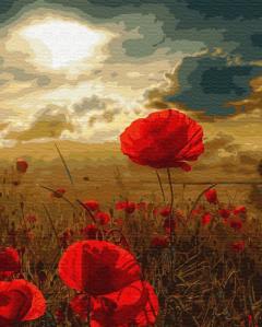 Set pictura pe numere „Maci salbatici” 40×50 cm